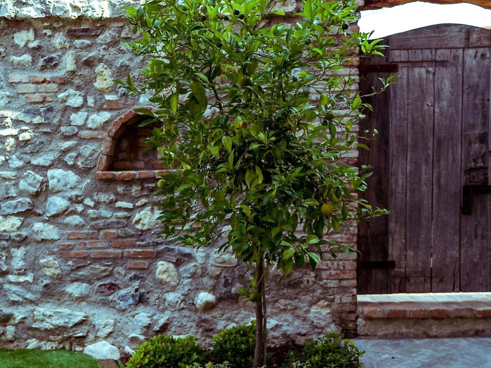 Villa Fontanelle Gardapartments Polpenazze del Garda Eksteriør bilde